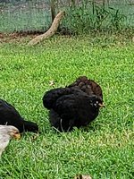 20180815_190601.jpg