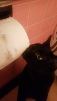 20180918_132139.jpg