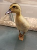 20180913_062045.jpg