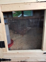 20180608_202623.jpg