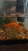 20180915_143214.jpg