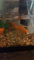20180915_143216.jpg
