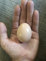 37E06DEB-6B72-49A3-ACE8-64EAC87E9A30.jpeg