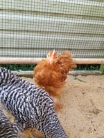 20180918_101012.jpg