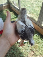 20180713_141600.jpg