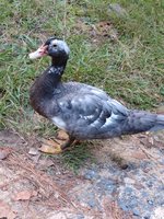 IMG_20180921_184035828.jpg