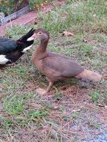 IMG_20180921_184759606.jpg