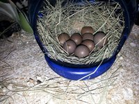 20180922_091209.jpg
