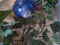 20180922_085921.jpg