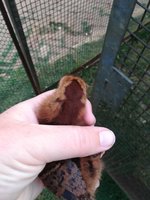 IMG_20180922_173424.jpg