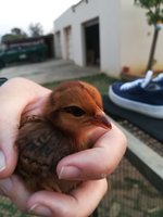IMG_20180922_173430.jpg
