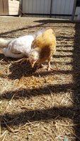 20180408_161218.jpg