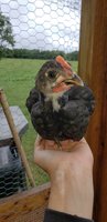 20180915_103658.jpg