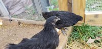20180922_134843.jpg
