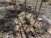 20180923_102935.jpg