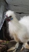 20180922_110033.jpg