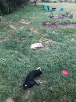 180922_062757_3.jpeg