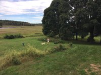180922_053544_0.jpeg