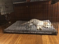 180922_084848_34.jpeg