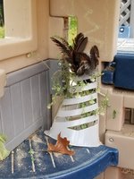 20180923_105302.jpg