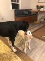 FB_IMG_1537710886866.jpg