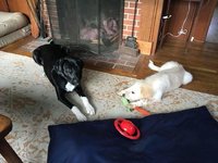 FB_IMG_1537710917197.jpg