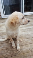 20180923_113751.jpg