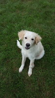 20180923_113907.jpg