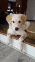 20180923_121038.jpg