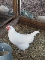 20180923_184131.jpg