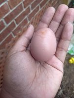 IMG_20180910_183334611.jpg