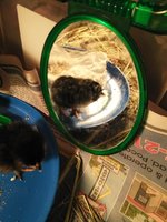 IMG_20180823_235210.jpg