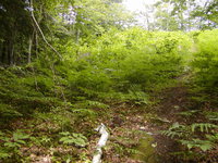Cemetery North End.JPG