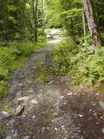 Joy Rd looking north to Putney Mtn Road.JPG