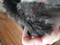 20180923_101329.jpg