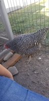 20180924_165630.jpg