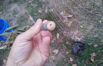 20180924_183359.jpg