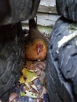 20180924_173054.jpg