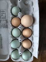 CE9C308D-FA89-4F4B-B257-0978C3314E17.jpeg