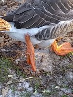 IMG_20180923_181044975.jpg