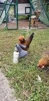 20180923_094625.jpg