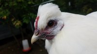 20180925_144701.jpg