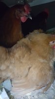 20180925_093819.jpg