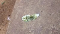 20180926_114850.jpg