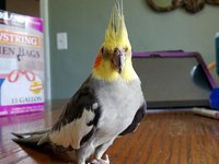 20180926_151214.jpg