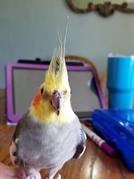 20180926_151234.jpg