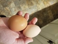 20180926_180908.jpg