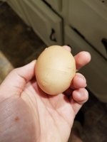 20180926_180751.jpg