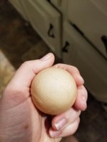20180926_180745.jpg