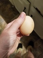 20180926_180739.jpg